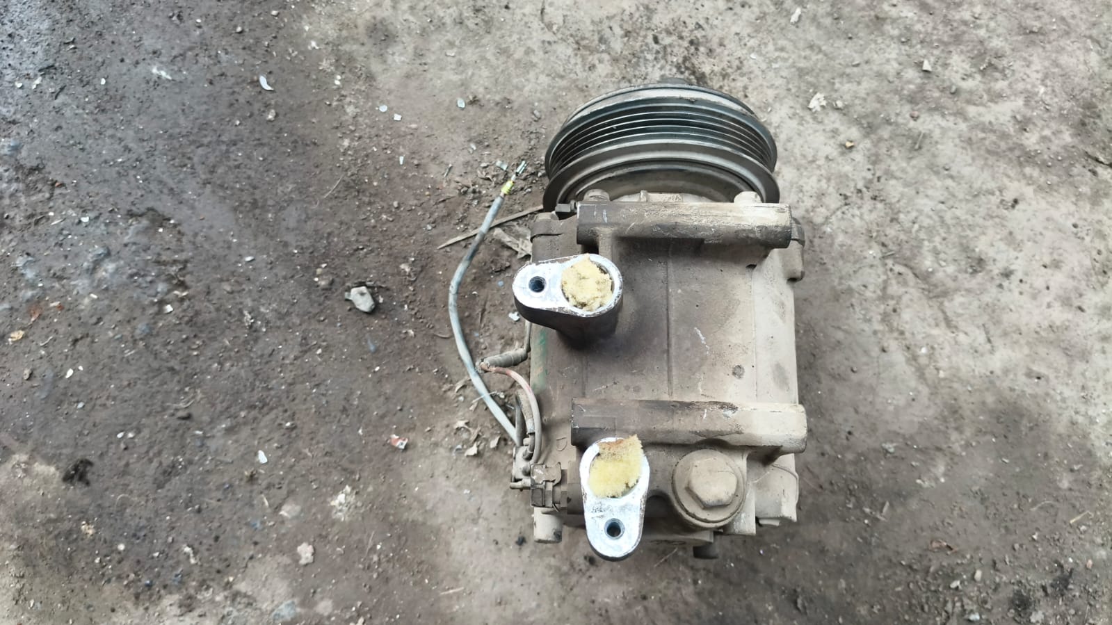 WhatsApp Image 2026-03-31 at 1.26.09 AM